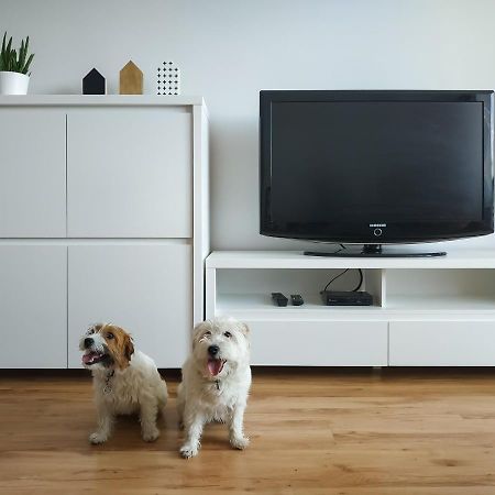 Uroczy Apartament Pod Skarpa 와도웨스 외부 사진