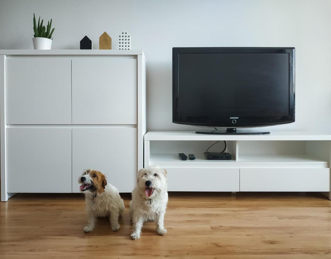 Uroczy Apartament Pod Skarpa 와도웨스 외부 사진